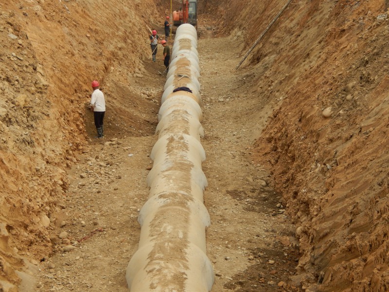 ��Ϫ�ӣ����˶Σ����۸ɹܹ���