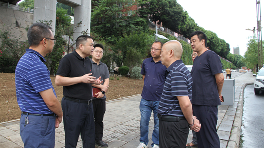 Ф��Ѳ�콣��·ˢ��һ��