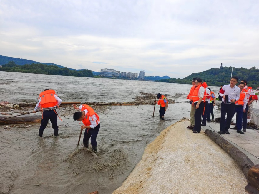 ��Ƭ_����