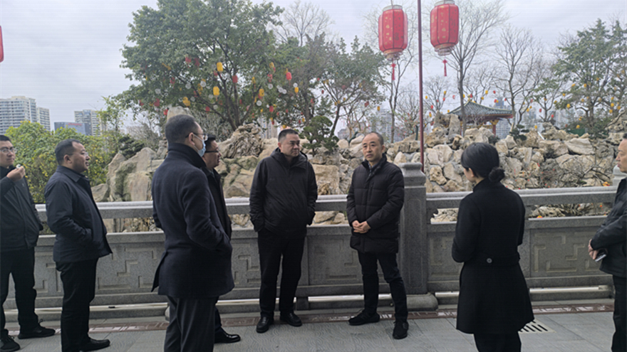 ��������_����