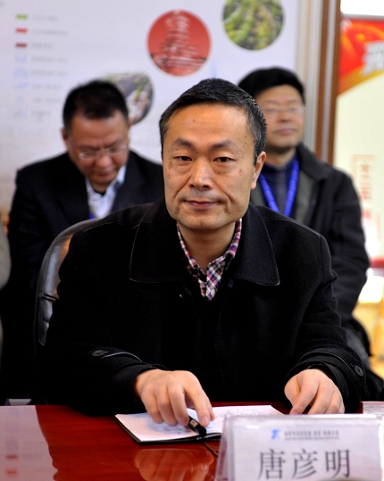 BB���ӹ���