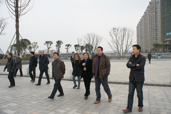 BB���ӹ���