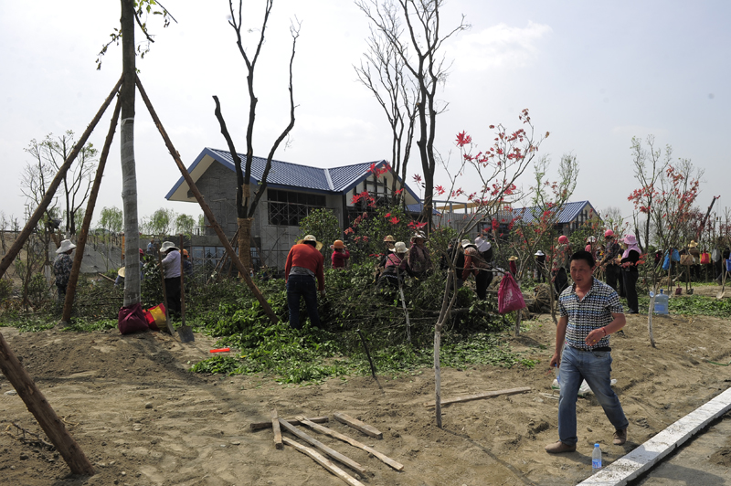 BB���ӹ���